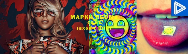 тгк Алзамай