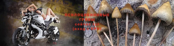 бошки Новодвинск